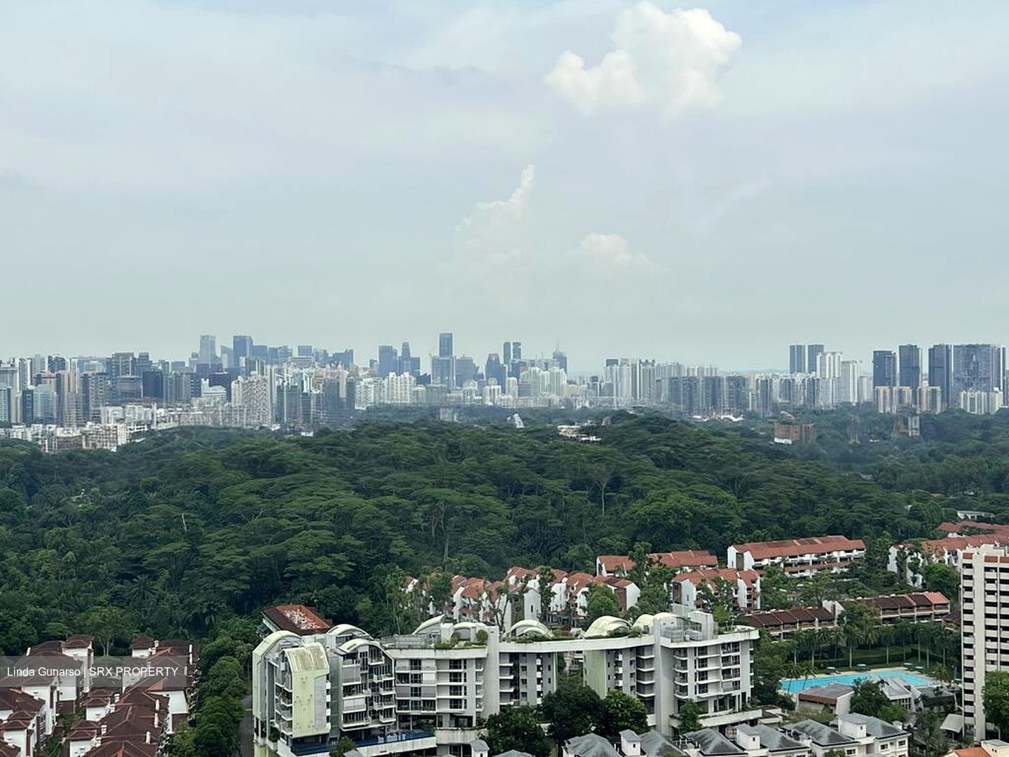 D'Leedon (D10), Condominium #519514111